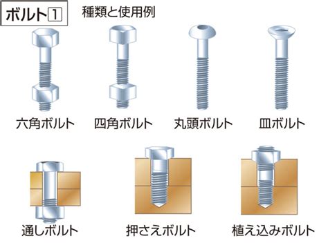 「ニューハーフ」の意味や使い方 わかりやすく解説 Weblio辞書